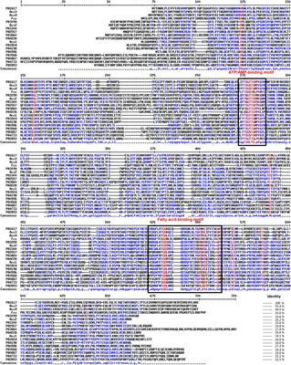 Participation of Acyl-Coenzyme A Synthetase FadD4 of Pseudomonas aeruginosa PAO1 in Acyclic Terpene/Fatty Acid Assimilation and Virulence by Lipid A Modification